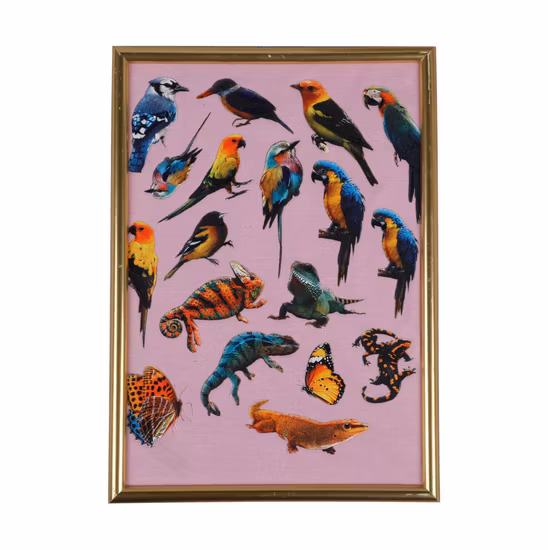 Encre pigmentée de silicone liquide pour la sérigraphie textile